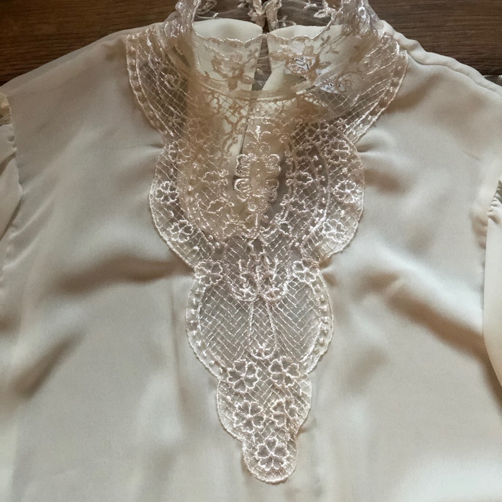 Authentic Vintage Beautiful Lace mesh blouse, high neck, swiss dot insets, Doen - Picture 5 of 15